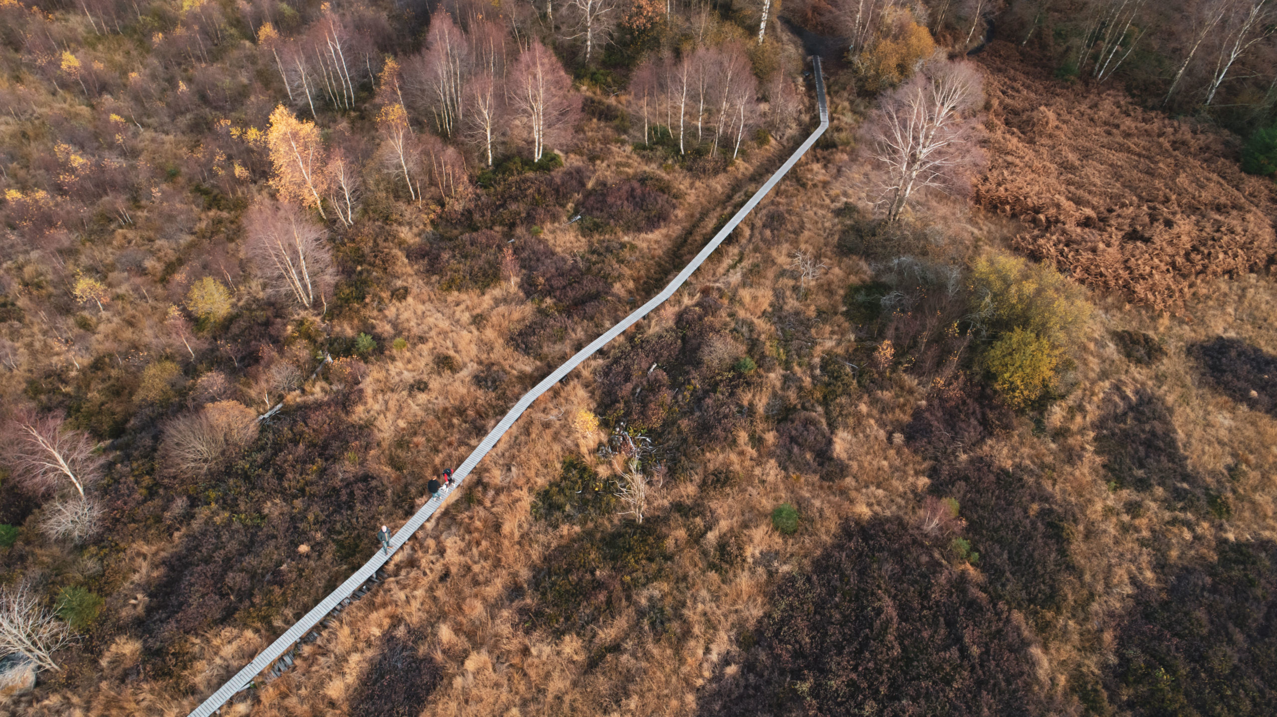 DJI_0091